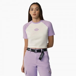 White Dickies Sodaville Cropped Women's T-Shirt | 203-UVXMSQ