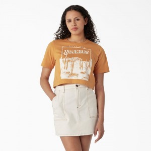 Yellow Dickies Desert Graphic Cropped Women's T-Shirt | 096-XMKWZN