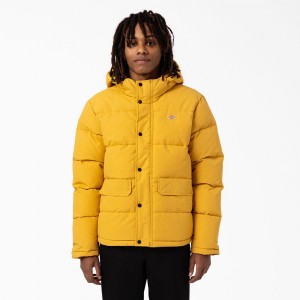 Yellow Dickies Glacier View Anorak Puffer Men's Jacket | 795-ANGRYP