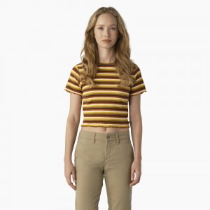 Yellow Dickies Striped Cropped Baby Women's T-Shirt | 486-VKLMXN