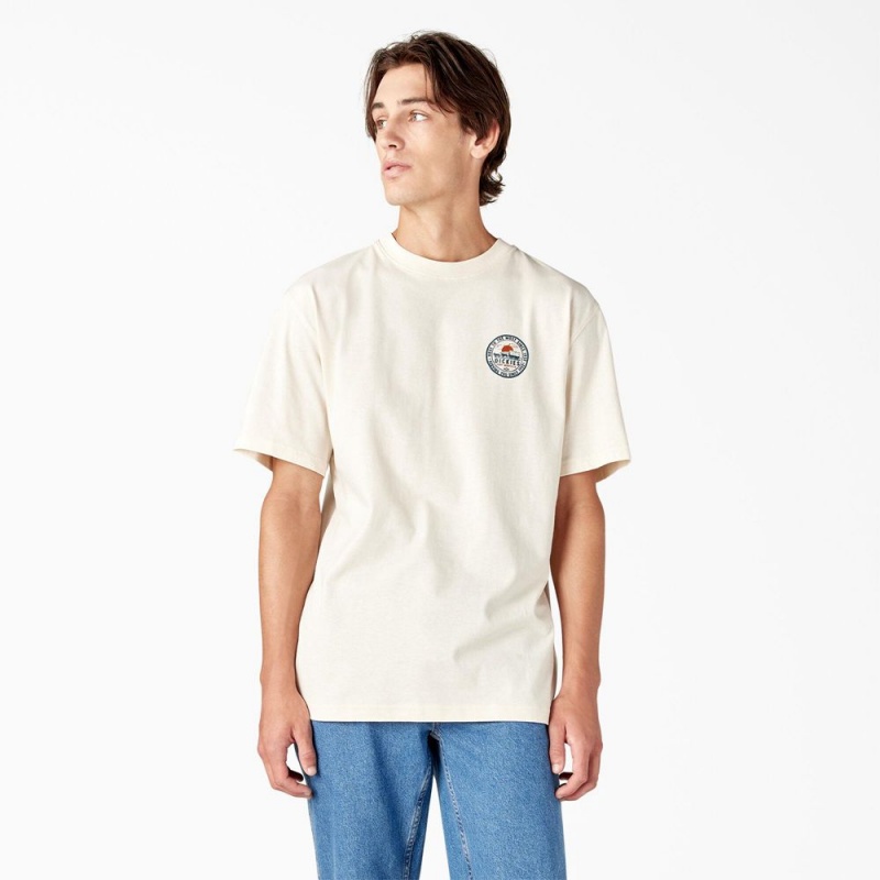 Beige Dickies Greensburg Graphic Men's T-Shirt | 179-MRIQPV