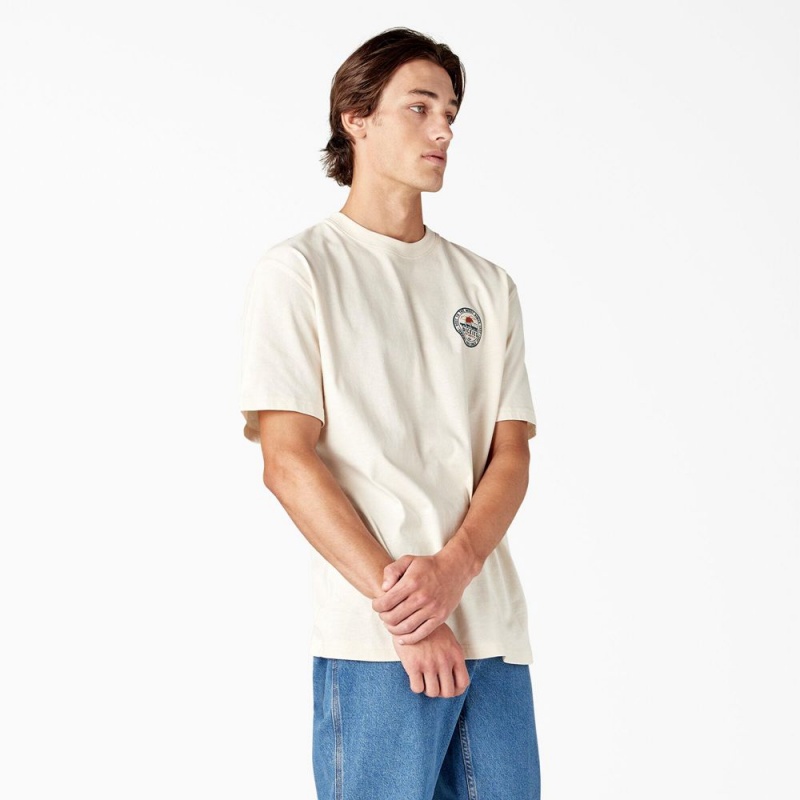 Beige Dickies Greensburg Graphic Men's T-Shirt | 179-MRIQPV