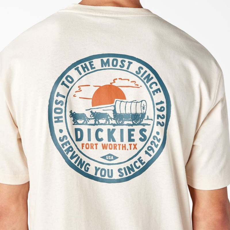 Beige Dickies Greensburg Graphic Men's T-Shirt | 179-MRIQPV