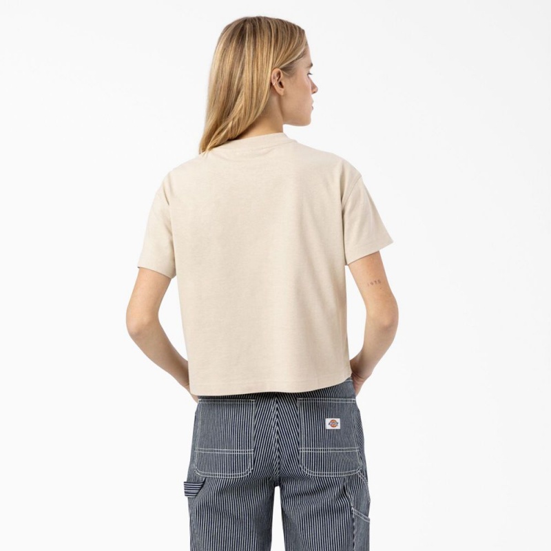 Beige Dickies Loretto Cropped Women's T-Shirt | 910-PTERIV