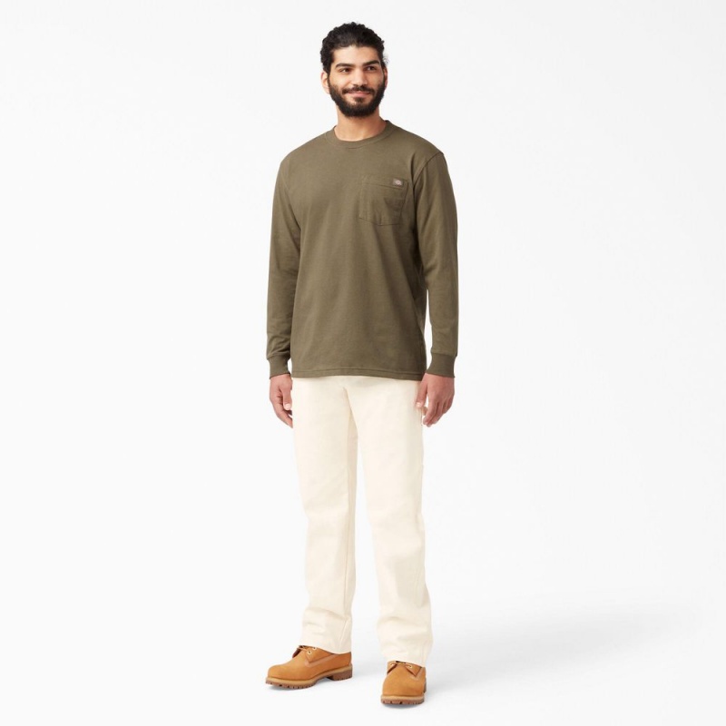 Beige Dickies Relaxed Fit Straight Leg Painter's Men's Pants | 321-DLHMIN