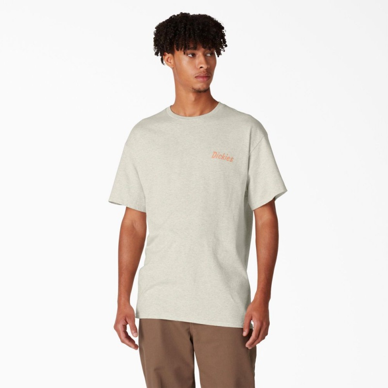 Beige Dickies Skateboarding Split Graphic Men's T-Shirt | 596-AMCOYZ