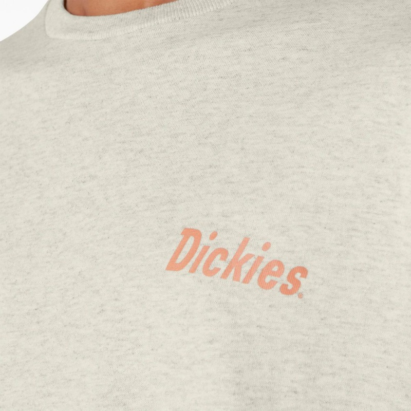 Beige Dickies Skateboarding Split Graphic Men's T-Shirt | 596-AMCOYZ