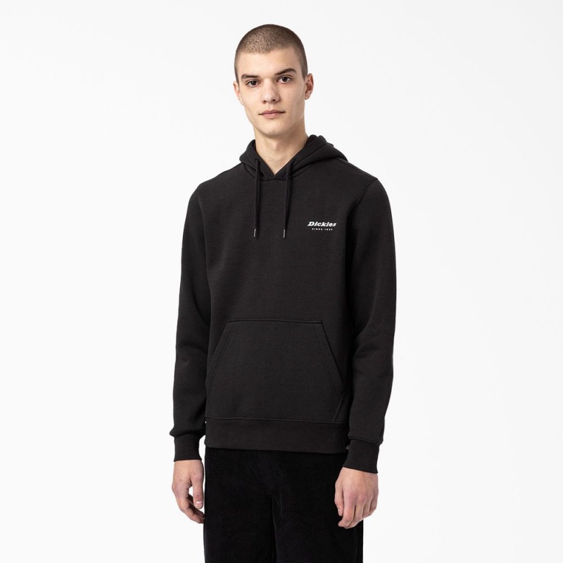 Black Dickies Camden Box Graphic Men's Hoodie | 109-OJNASE