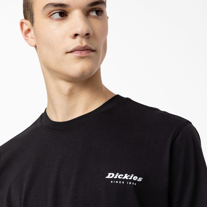 Black Dickies Camden Box Graphic Men's T-Shirt | 678-FCZYPO