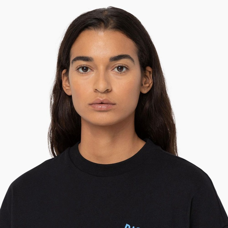 Black Dickies Creswell Graphic Women's T-Shirt | 486-YXWADG