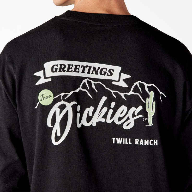 Black Dickies Dighton Long Sleeve Graphic Men's T-Shirt | 246-VYHPXW