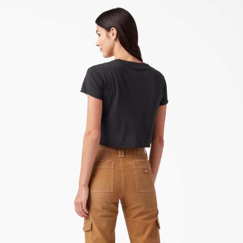 Black Dickies Distressed Logo Cropped Women's T-Shirt | 256-JAIWPL