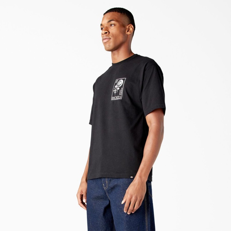 Black Dickies Garden Plain Graphic Men's T-Shirt | 895-LEIWGA