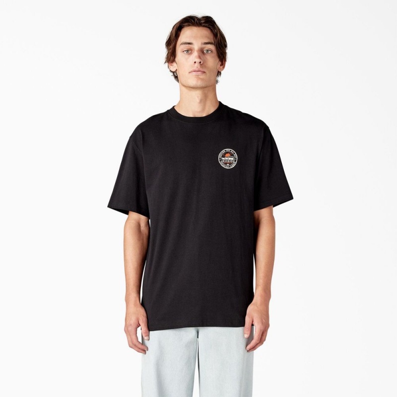 Black Dickies Greensburg Graphic Men's T-Shirt | 865-HOVRAQ