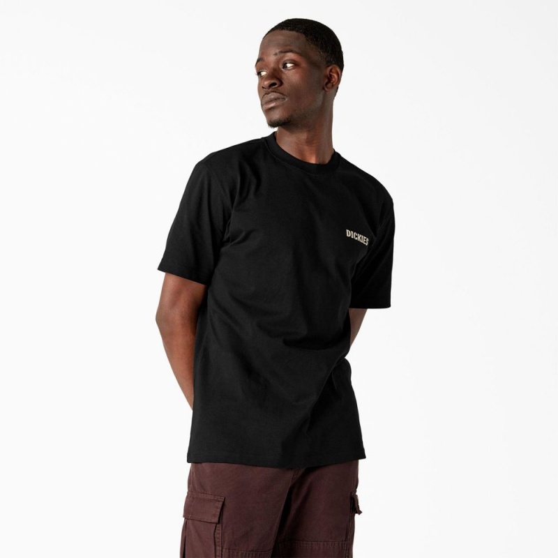 Black Dickies Hays Graphic Men's T-Shirt | 867-PXHMAZ