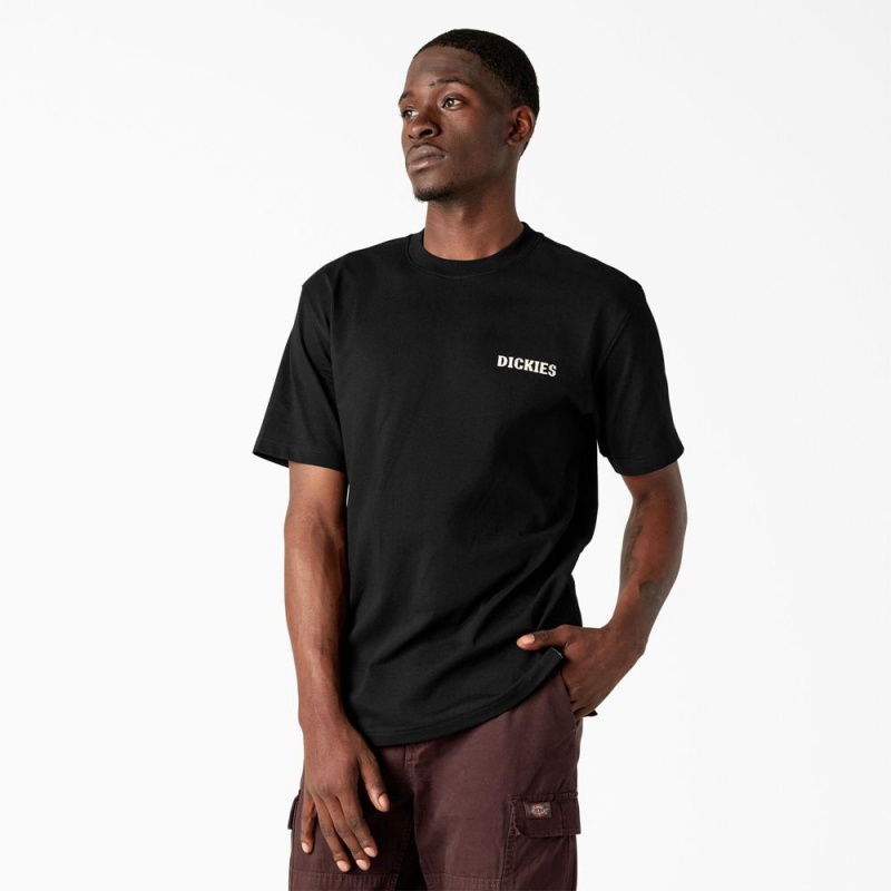 Black Dickies Hays Graphic Men's T-Shirt | 867-PXHMAZ