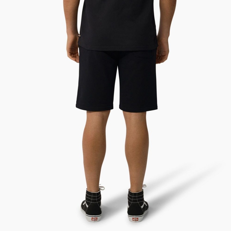 Black Dickies Mapleton Regular Fit Men's Shorts | 297-XUOKCM