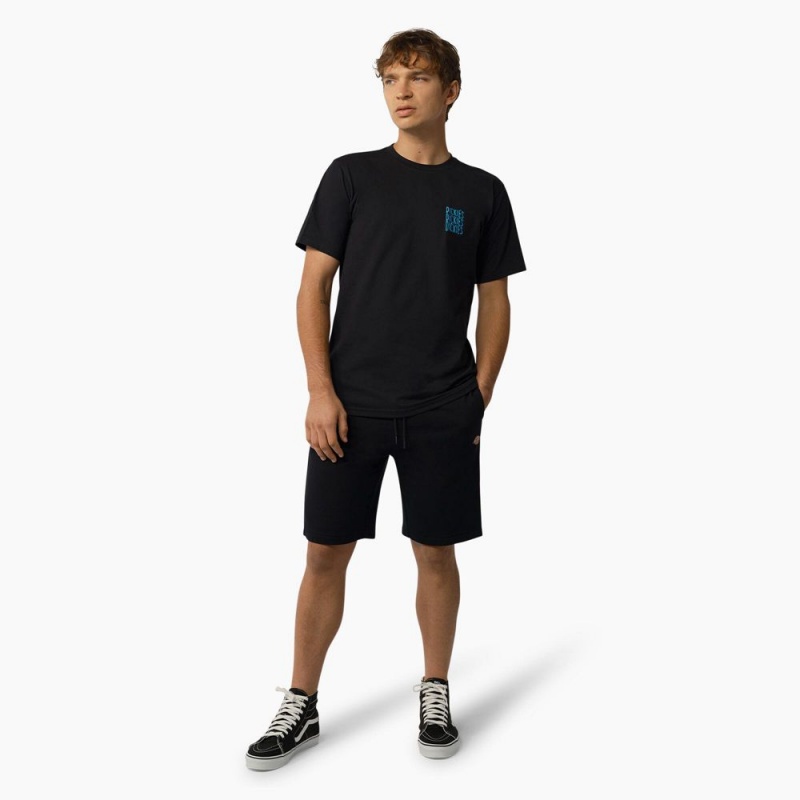 Black Dickies Mapleton Regular Fit Men's Shorts | 297-XUOKCM