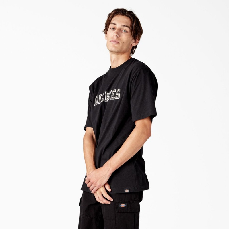 Black Dickies Melvern Graphic Men's T-Shirt | 085-IJAZSG