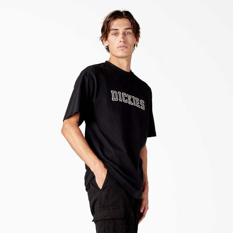 Black Dickies Melvern Graphic Men's T-Shirt | 085-IJAZSG