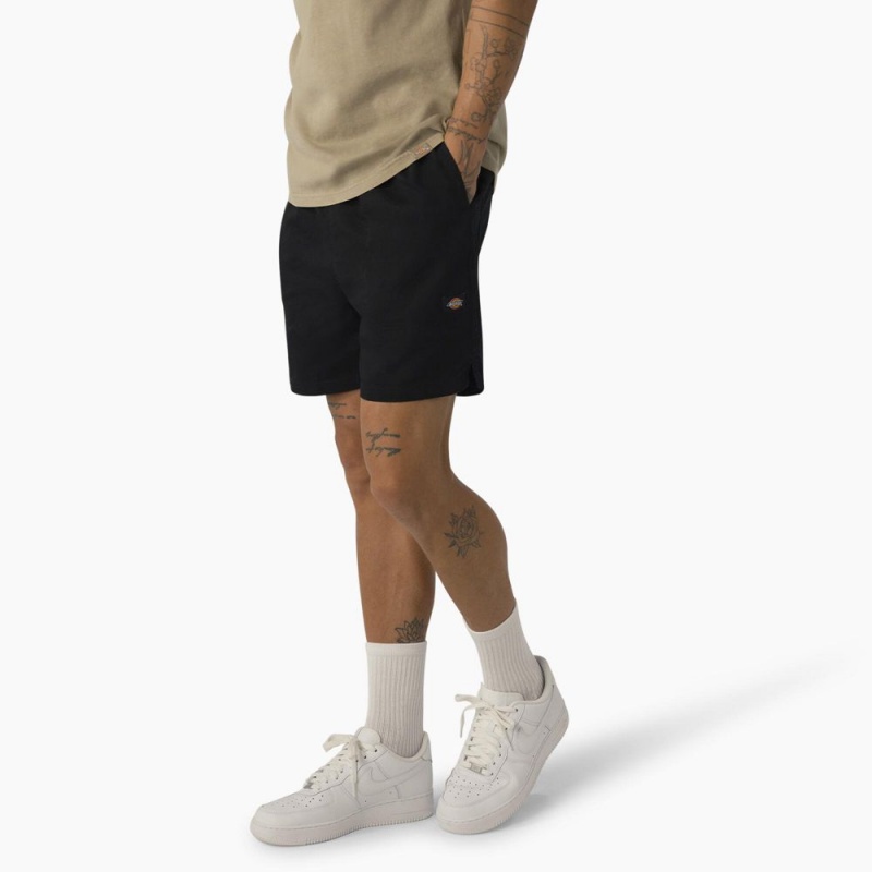 Black Dickies Pelican Rapids Relaxed Fit Men's Shorts | 349-WMQIYV