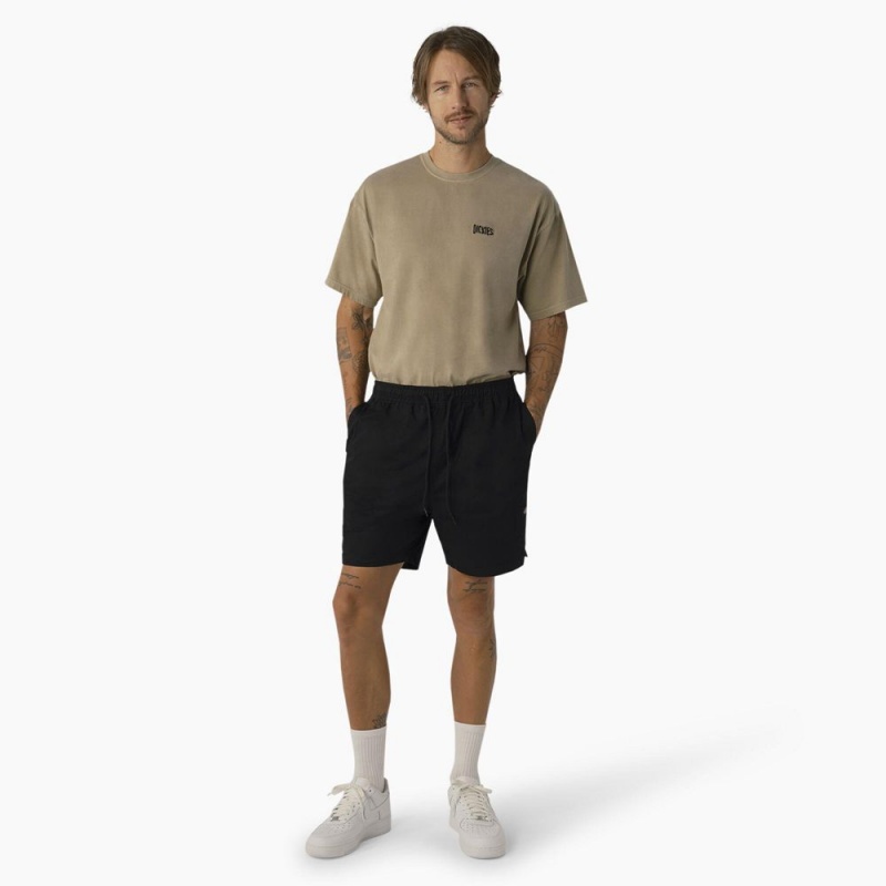 Black Dickies Pelican Rapids Relaxed Fit Men's Shorts | 349-WMQIYV