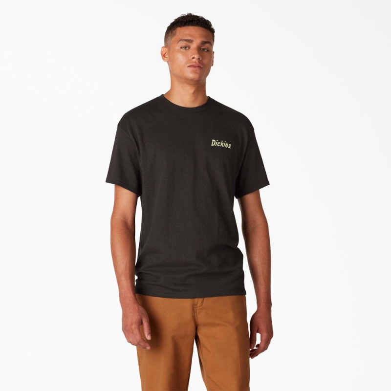 Black Dickies Skateboarding Split Graphic Men's T-Shirt | 241-YOFNCE