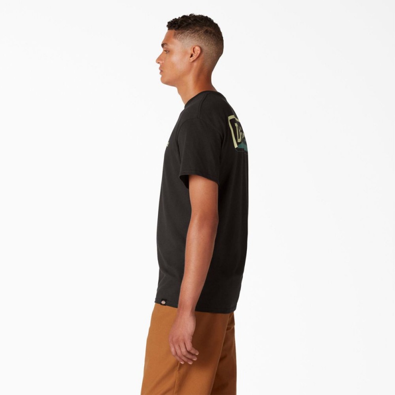 Black Dickies Skateboarding Split Graphic Men's T-Shirt | 241-YOFNCE