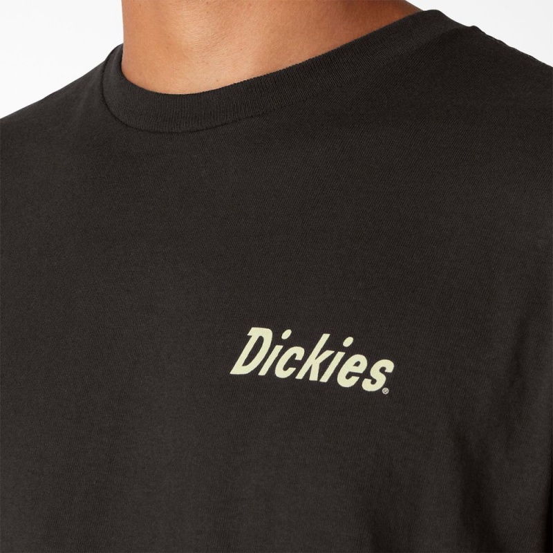 Black Dickies Skateboarding Split Graphic Men's T-Shirt | 241-YOFNCE