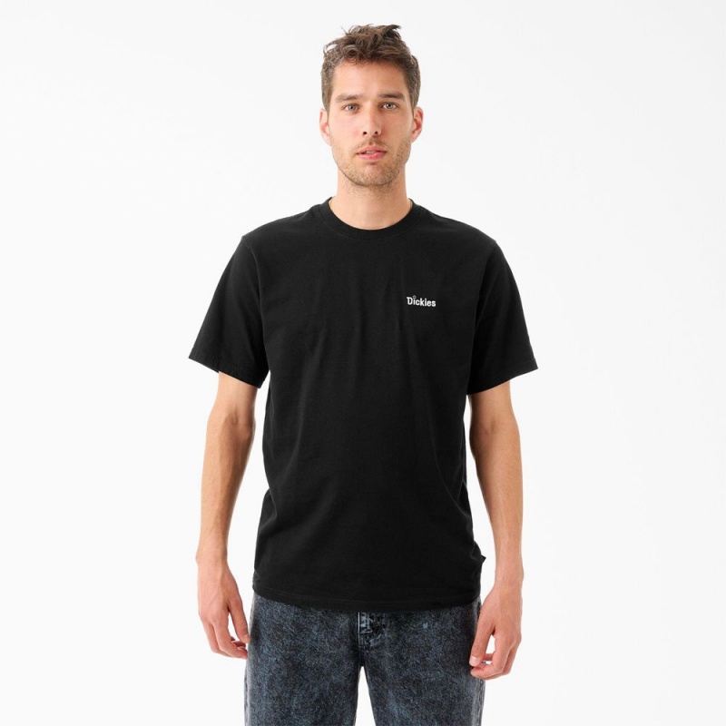 Black Dickies Tom Knox Embroidery Men\'s T-Shirt | 709-AGJPHE