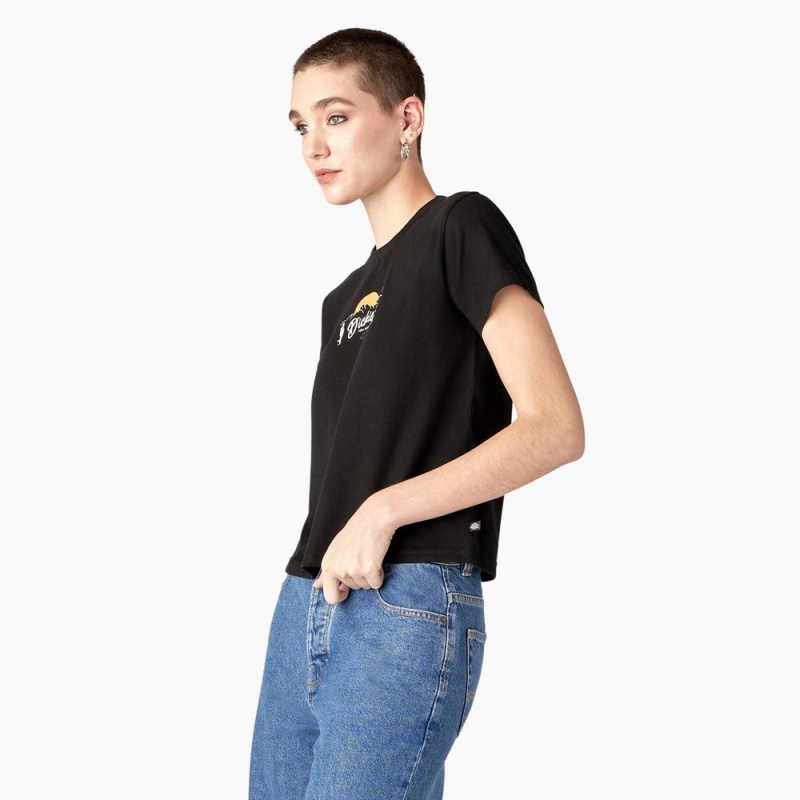 Black Dickies Twill Ranch Graphic Women's T-Shirt | 980-QUOWIH