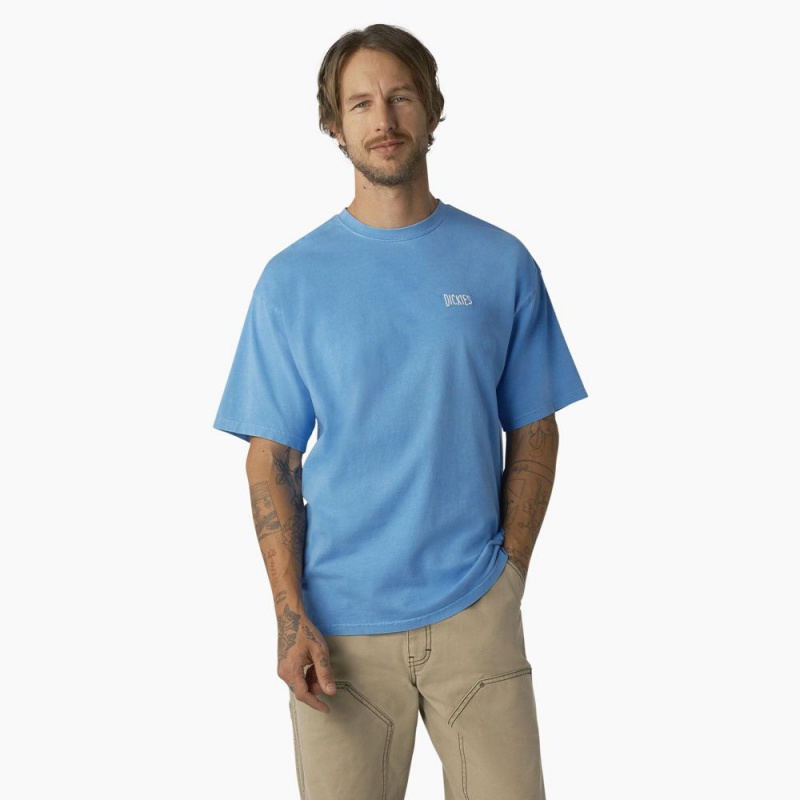 Blue Dickies Bandon Short Sleeve Men\'s T-Shirt | 120-FJXZRC