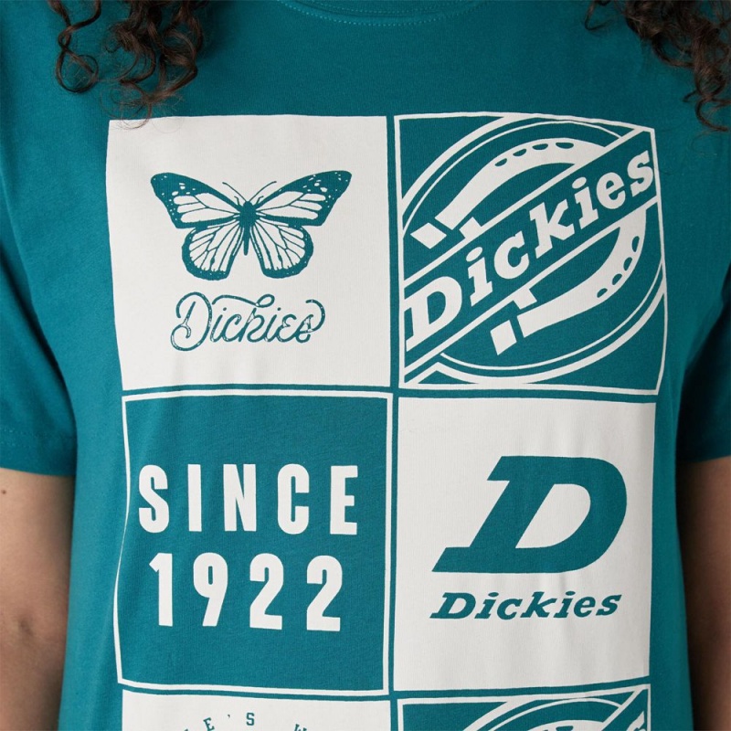 Blue Dickies Graphic Band Women's T-Shirt | 468-KHNXUJ