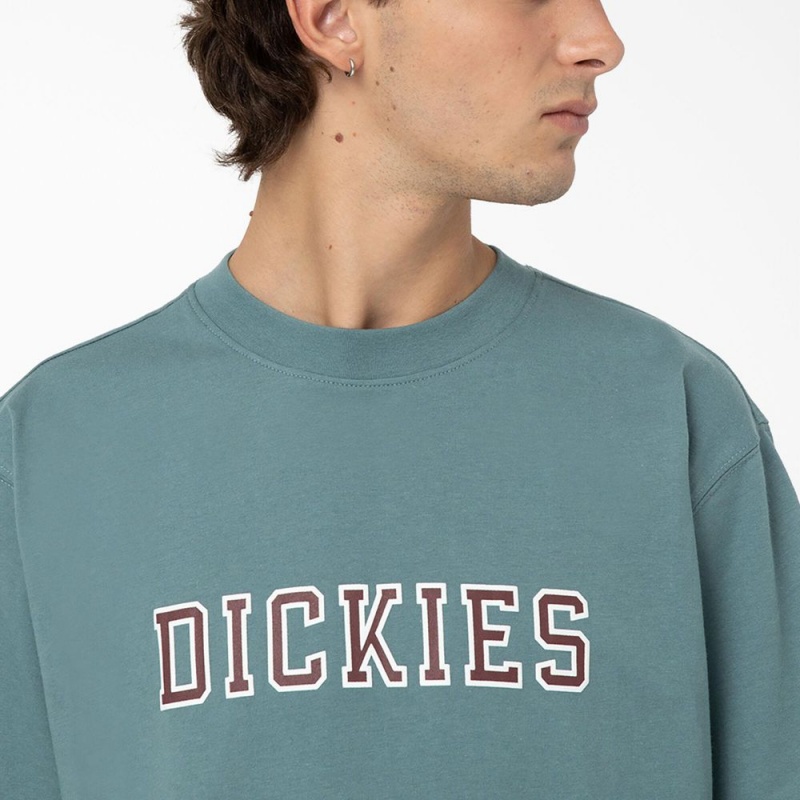 Blue Dickies Melvern Graphic Men's T-Shirt | 862-WLZOQC