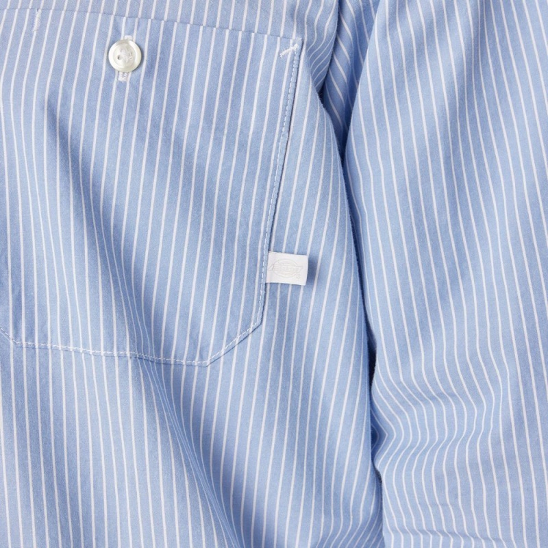 Blue Dickies Premium Collection Service Men's Shirt | 205-WNIKME