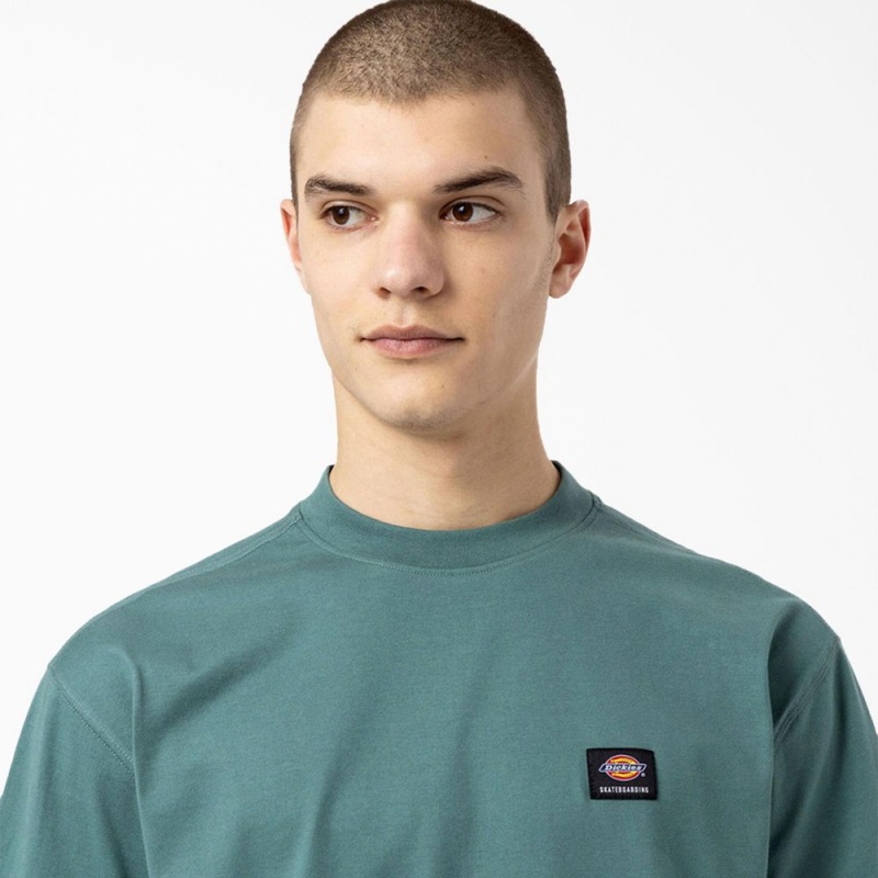 Blue Dickies Skateboarding Mount Vista Men's T-Shirt | 807-THGVMC