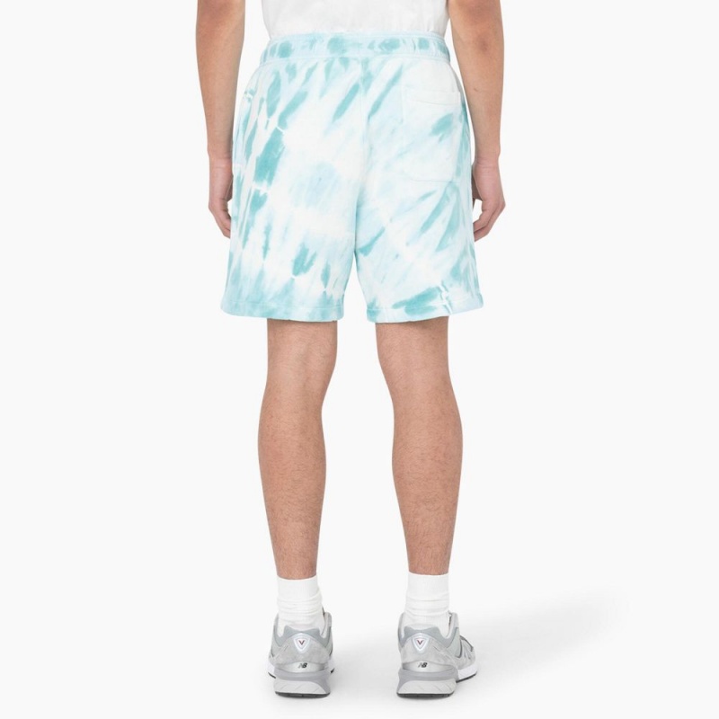 Blue Dickies Westfir Relaxed Fit Men's Shorts | 630-UWXZYH