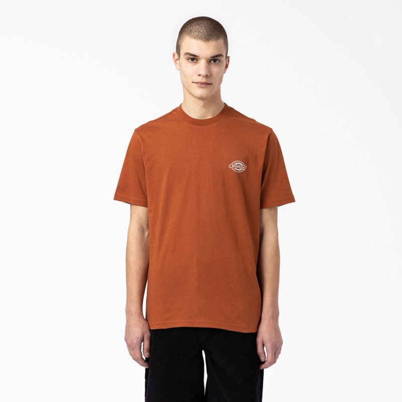 Brown Dickies Back Logo Graphic Men's T-Shirt | 487-LVCTBE