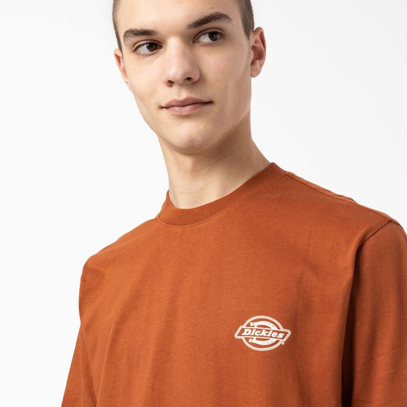 Brown Dickies Back Logo Graphic Men's T-Shirt | 487-LVCTBE