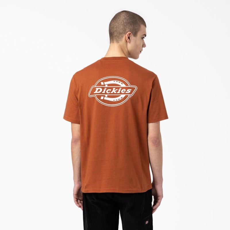 Brown Dickies Back Logo Graphic Men\'s T-Shirt | 487-LVCTBE