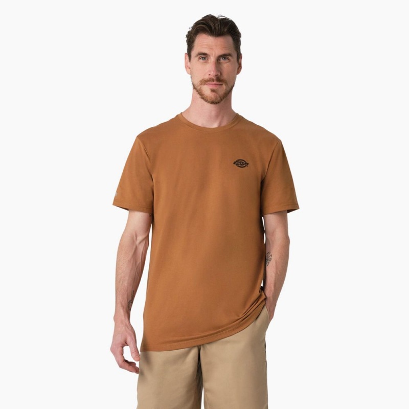 Brown Dickies Cooling Performance Graphic Men's T-Shirt | 574-TWKEGJ