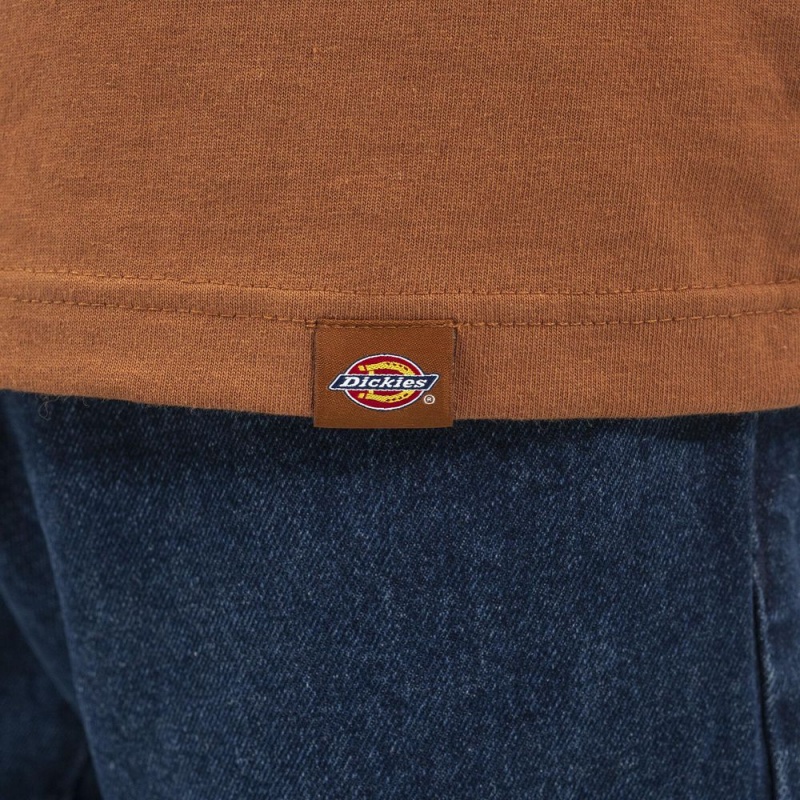 Brown Dickies Long Sleeve Henley Men's T-Shirt | 079-UYNJOG