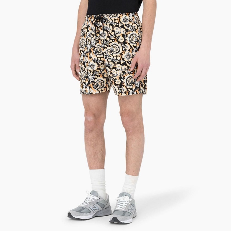 Brown Dickies Roseburg Relaxed Fit Men's Shorts | 587-TIXHZG