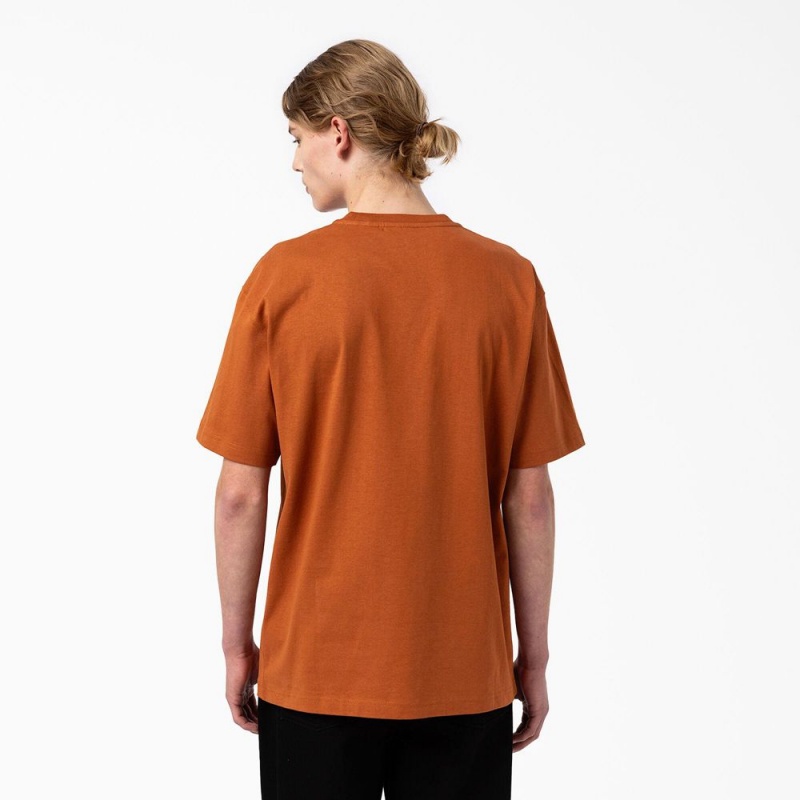 Brown Dickies Union Springs Short Sleeve Men's T-Shirt | 274-MJZXHL