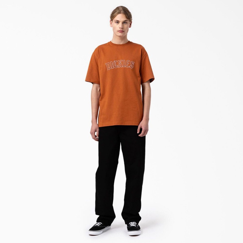 Brown Dickies Union Springs Short Sleeve Men's T-Shirt | 274-MJZXHL