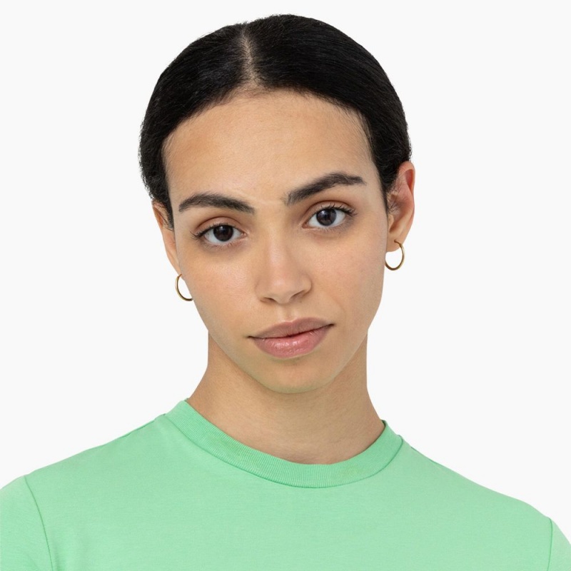 Green Dickies Maple Valley Logo Cropped Women's T-Shirt | 392-IMVHUB