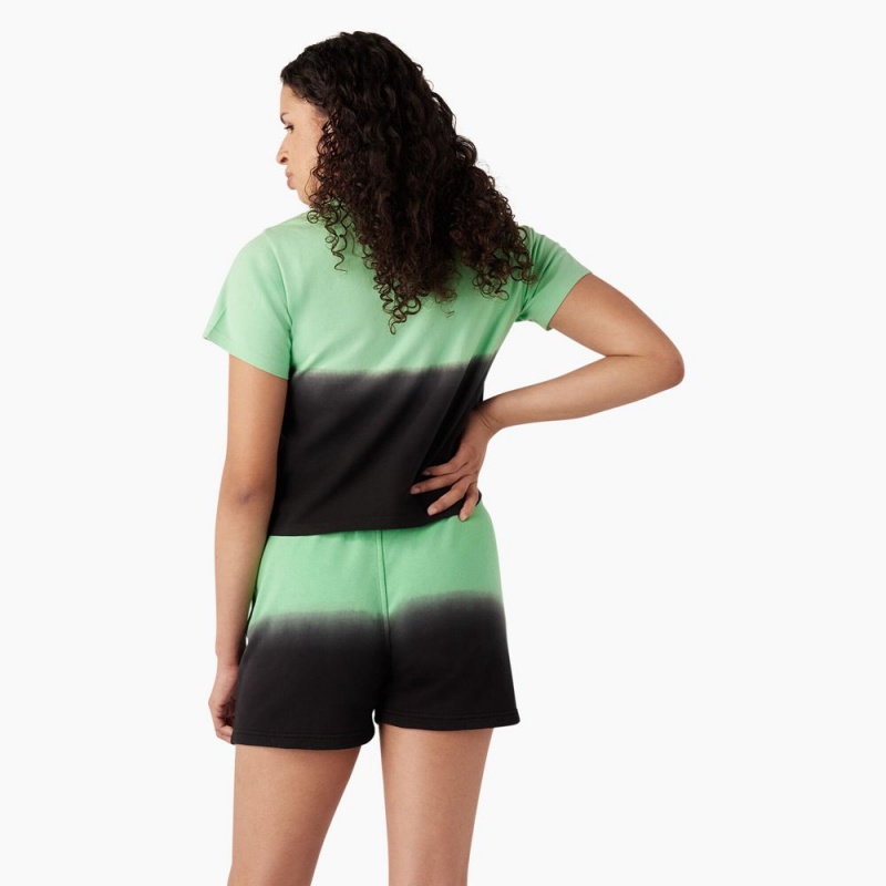 Green Dickies Ombre Cropped Women's T-Shirt | 982-TYNSIL