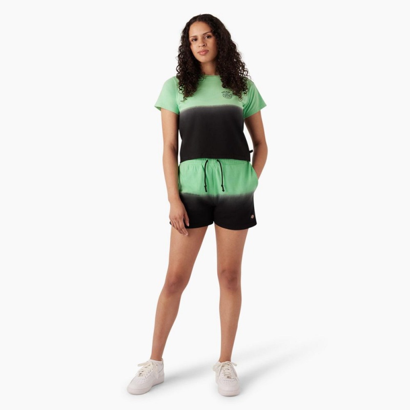 Green Dickies Ombre Cropped Women's T-Shirt | 982-TYNSIL