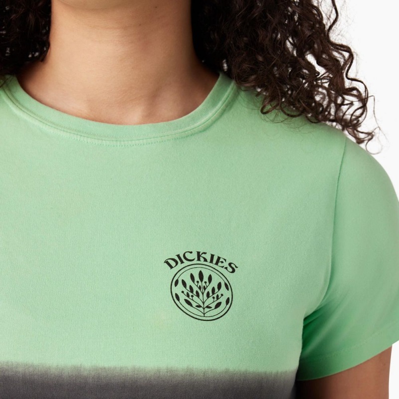 Green Dickies Ombre Cropped Women's T-Shirt | 982-TYNSIL