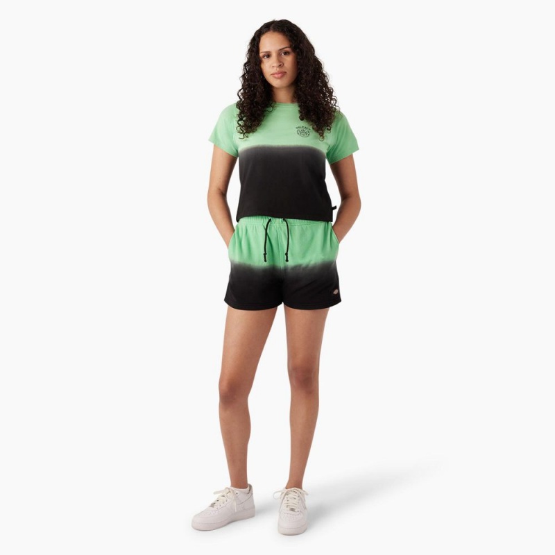 Green Dickies Relaxed Fit Ombre Knit Women's Shorts | 679-WCKPOY